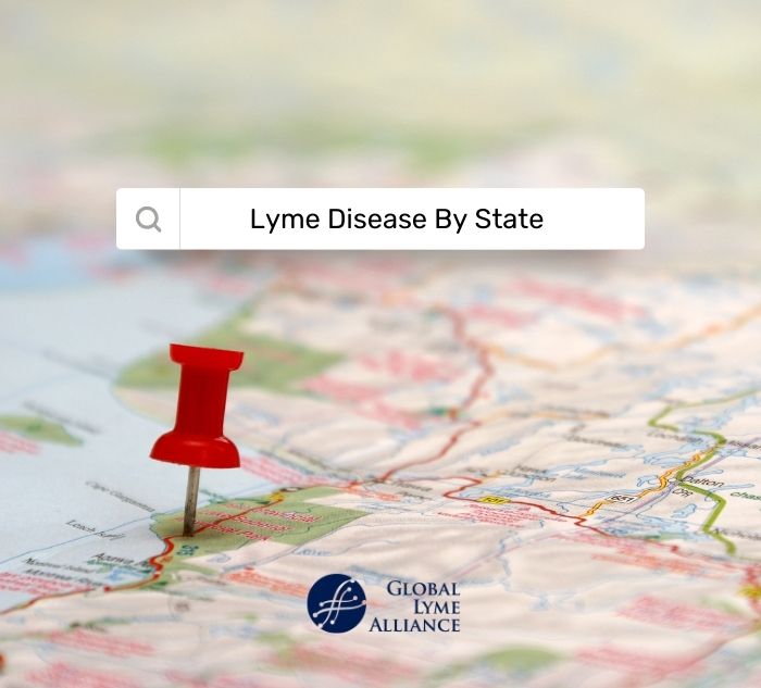 Lyme Disease by State Planning for Lyme Disease When Traveling